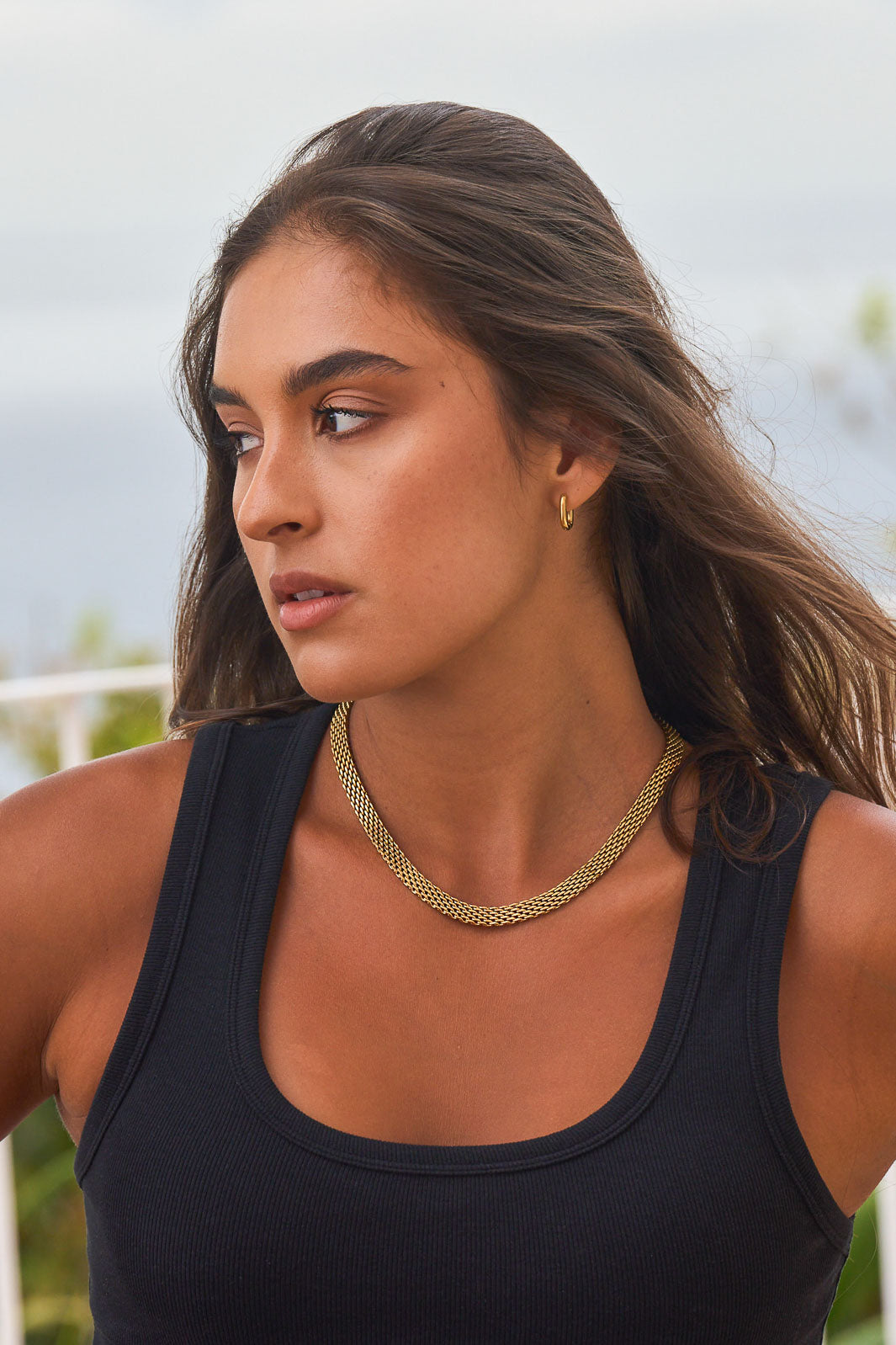 Chunky Oval Hoops